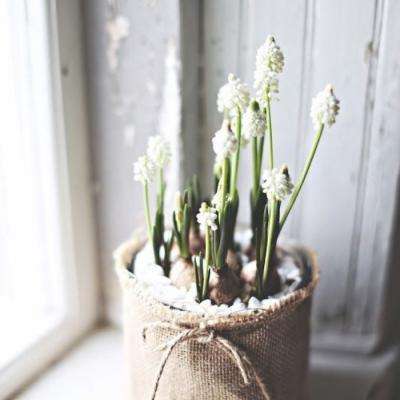 半岛综合app官网版登录截图