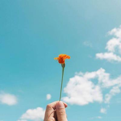 足球游戏下载手机版截图