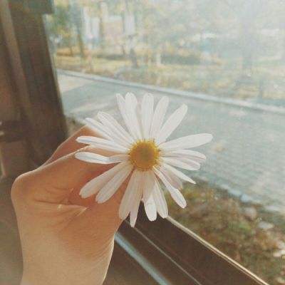 爱游戏com下载手机版