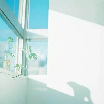 咪乐官方下载入口