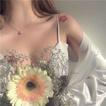 半岛综合app官网版登录